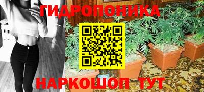 стаф Донской