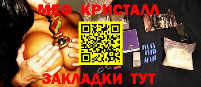 стаф Донской
