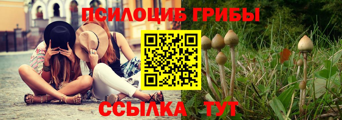 Псилоцибиновые грибы Magic Shrooms Кропоткин