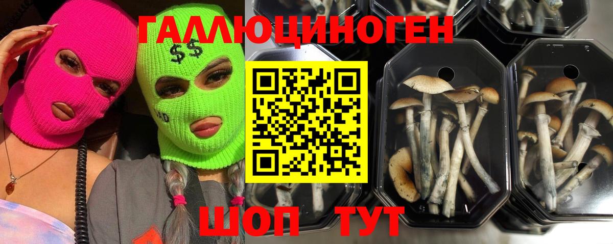 Галлюциногенные грибы мухоморы  Вход с VPN  Кропоткин 