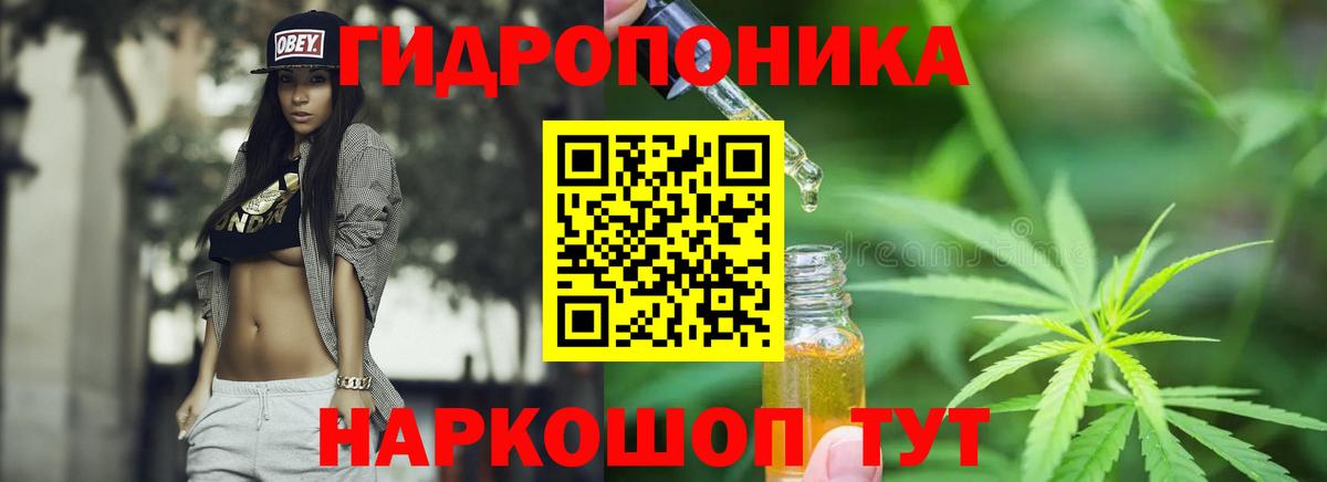 Шишки марихуана планчик Кропоткин
